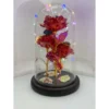 ROSE FLOWER DISPLAY